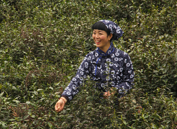 动漫卡片